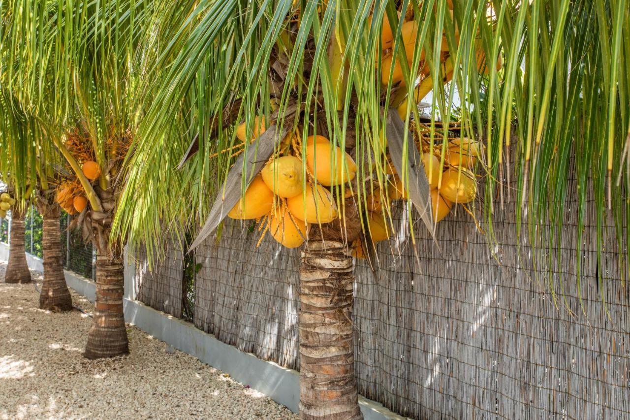 Paradise Apartments - Curacao Fontein ภายนอก รูปภาพ
