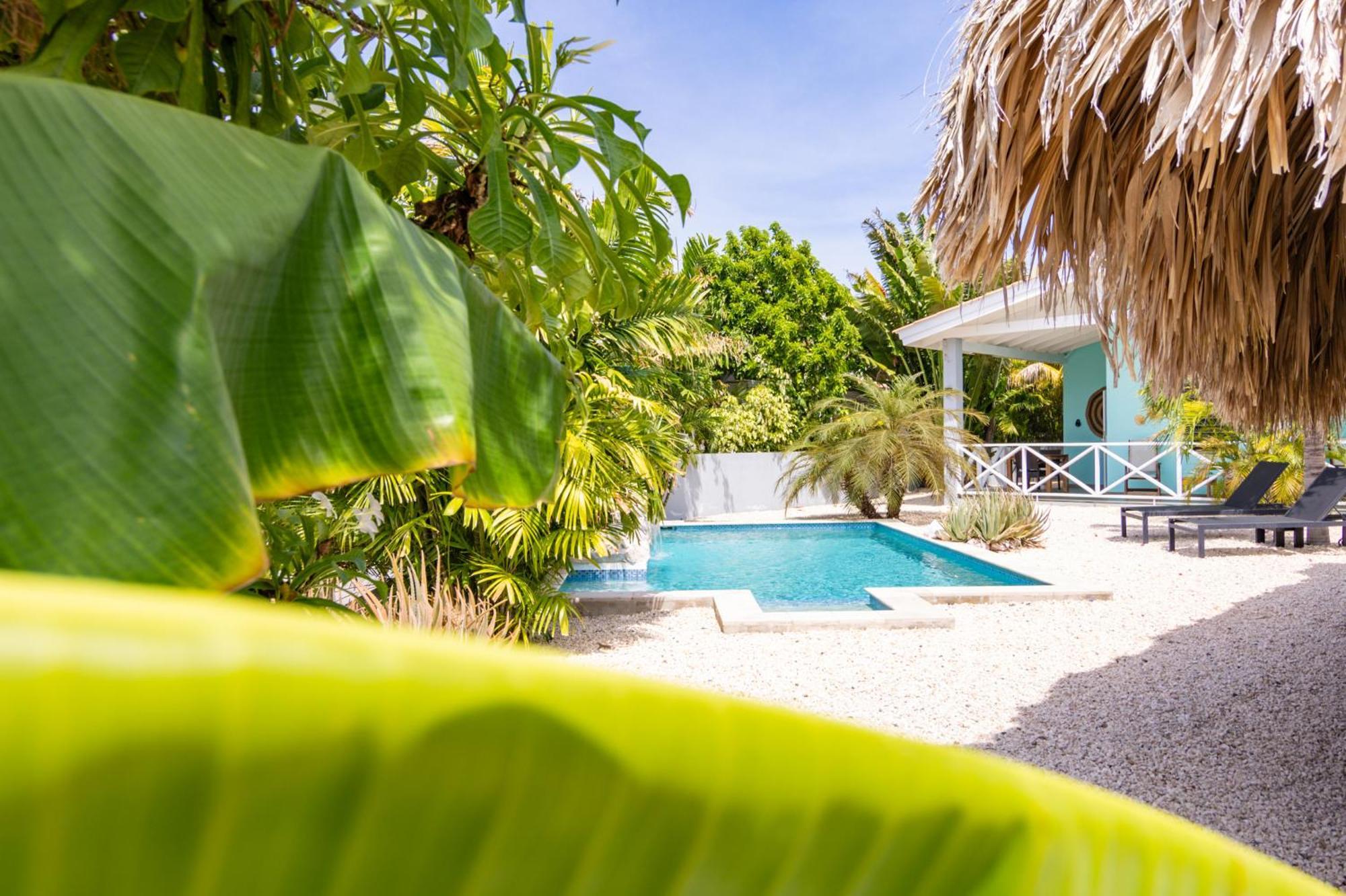 Paradise Apartments - Curacao Fontein ภายนอก รูปภาพ